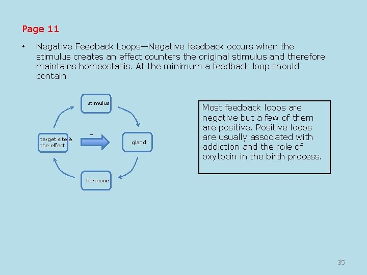 Page 11 • Negative Feedback Loops—Negative feedback occurs when the stimulus creates an effect