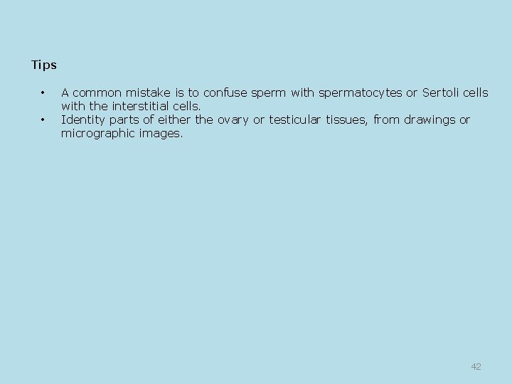 Tips • • A common mistake is to confuse sperm with spermatocytes or Sertoli