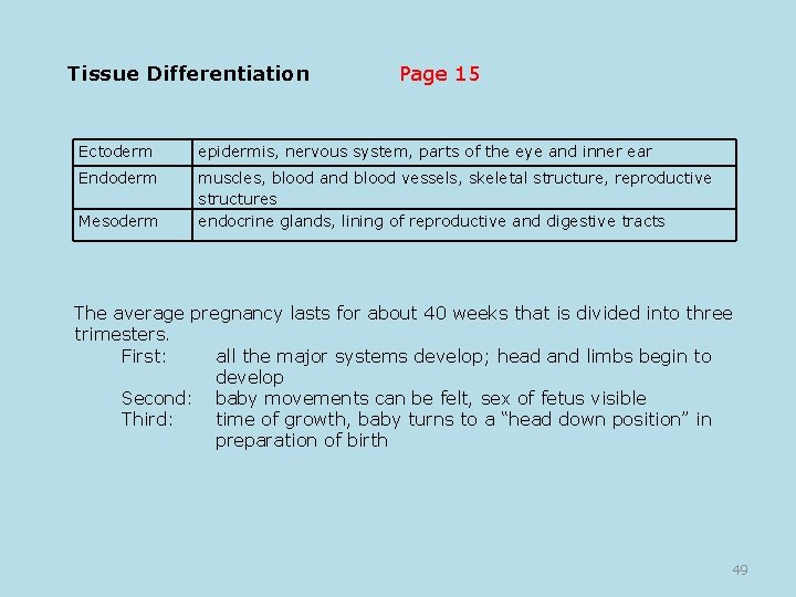 Tissue Differentiation Page 15 Ectoderm epidermis, nervous system, parts of the eye and inner