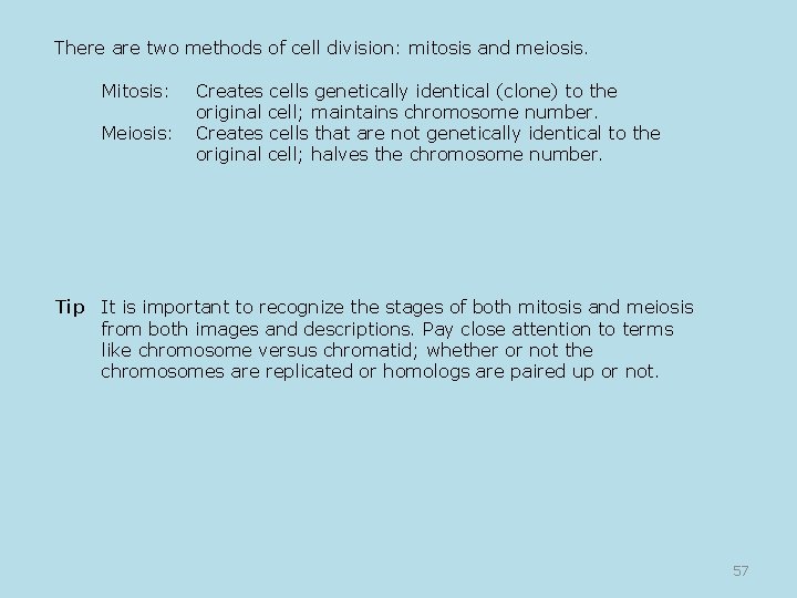 There are two methods of cell division: mitosis and meiosis. Mitosis: Creates cells genetically
