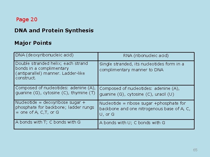 Page 20 DNA and Protein Synthesis Major Points DNA (deoxyribonucleic acid) Double stranded helix;