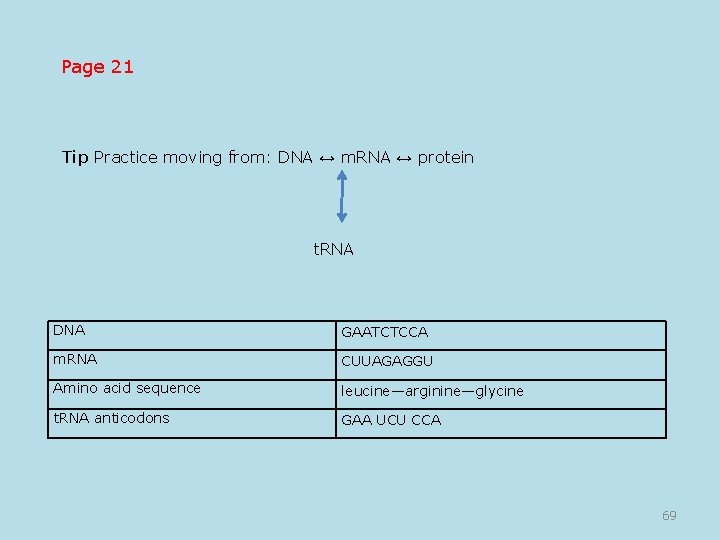 Page 21 Tip Practice moving from: DNA ↔ m. RNA ↔ protein t. RNA