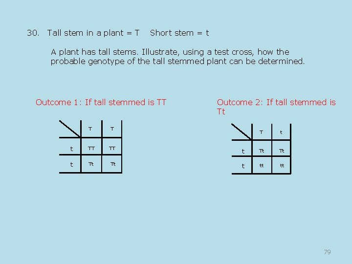 30. Tall stem in a plant = T Short stem = t A plant
