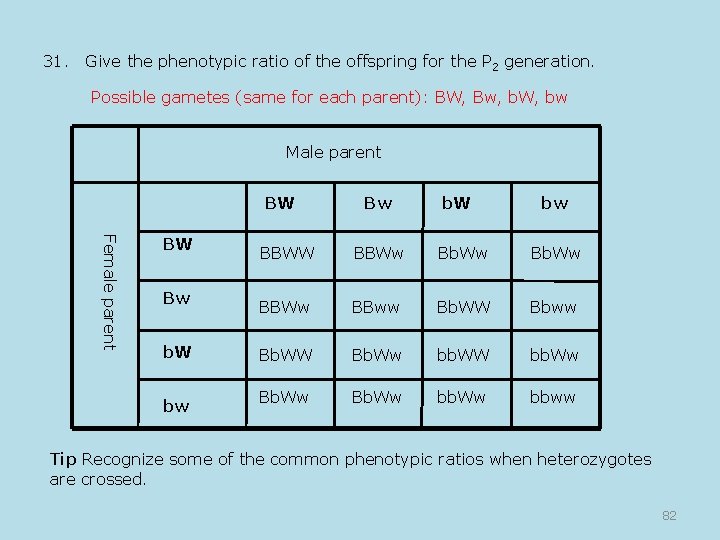 31. Give the phenotypic ratio of the offspring for the P 2 generation. Possible