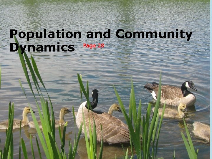 Population and Community Dynamics Page 28 89 