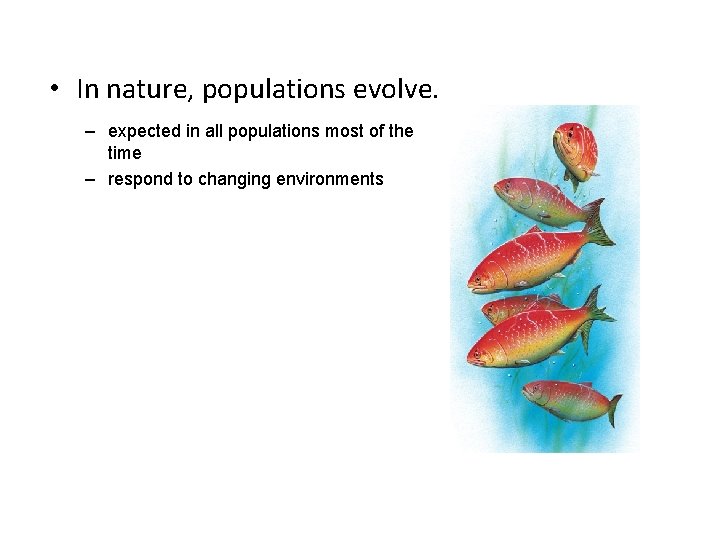  • In nature, populations evolve. – expected in all populations most of the