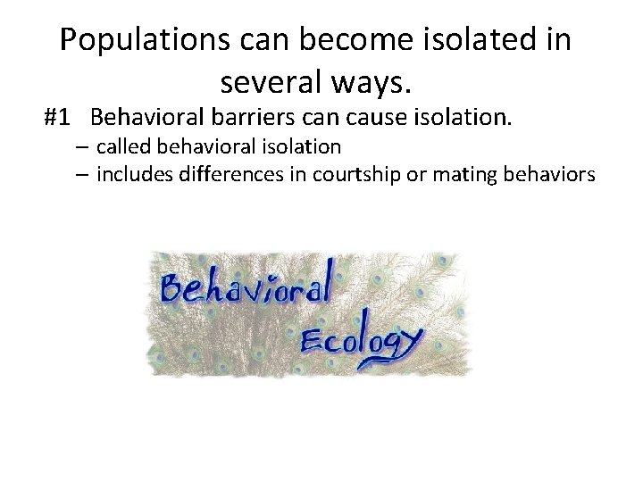 Populations can become isolated in several ways. #1 Behavioral barriers can cause isolation. –