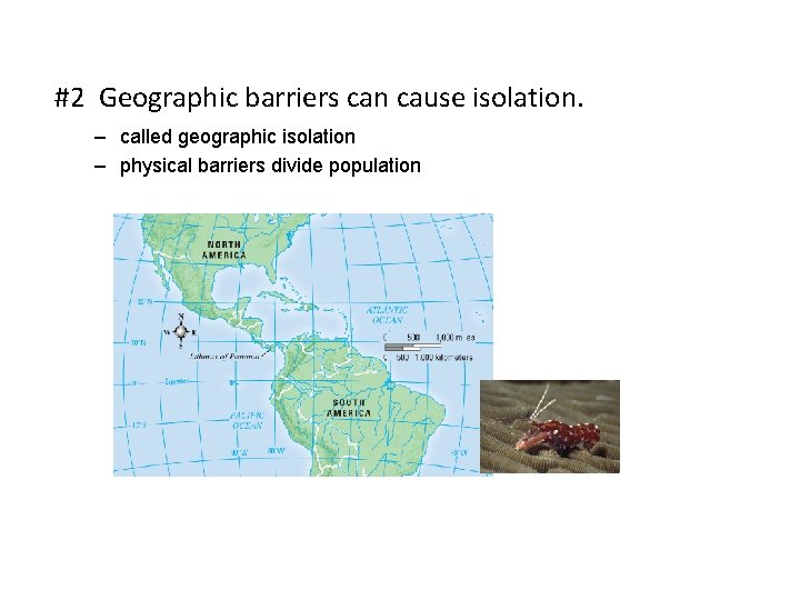 #2 Geographic barriers can cause isolation. – called geographic isolation – physical barriers divide