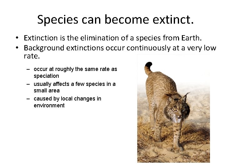 Species can become extinct. • Extinction is the elimination of a species from Earth.