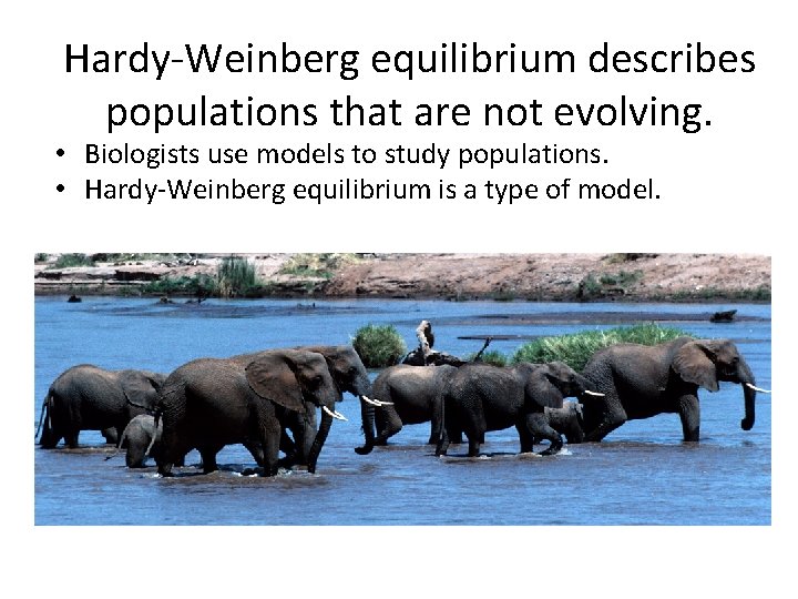 Hardy-Weinberg equilibrium describes populations that are not evolving. • Biologists use models to study