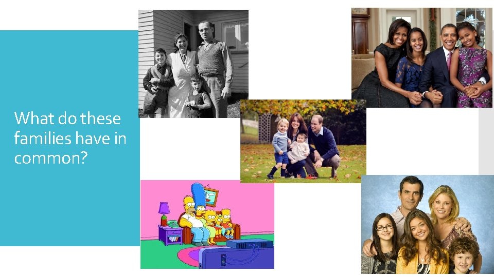What do these families have in common? 