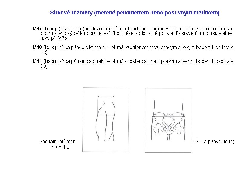 Šířkové rozměry (měřené pelvimetrem nebo posuvným měřítkem) M 37 (h. sag. ): sagitální (předozadní)