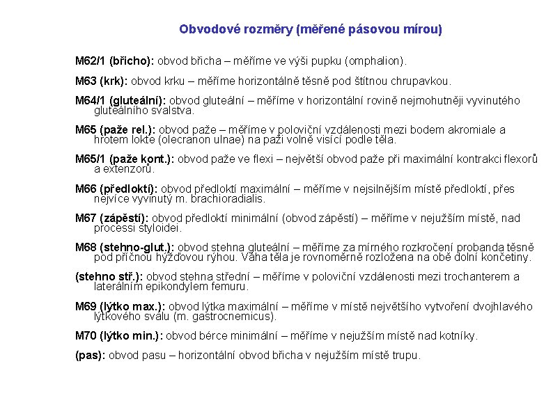 Obvodové rozměry (měřené pásovou mírou) M 62/1 (břicho): obvod břicha – měříme ve výši