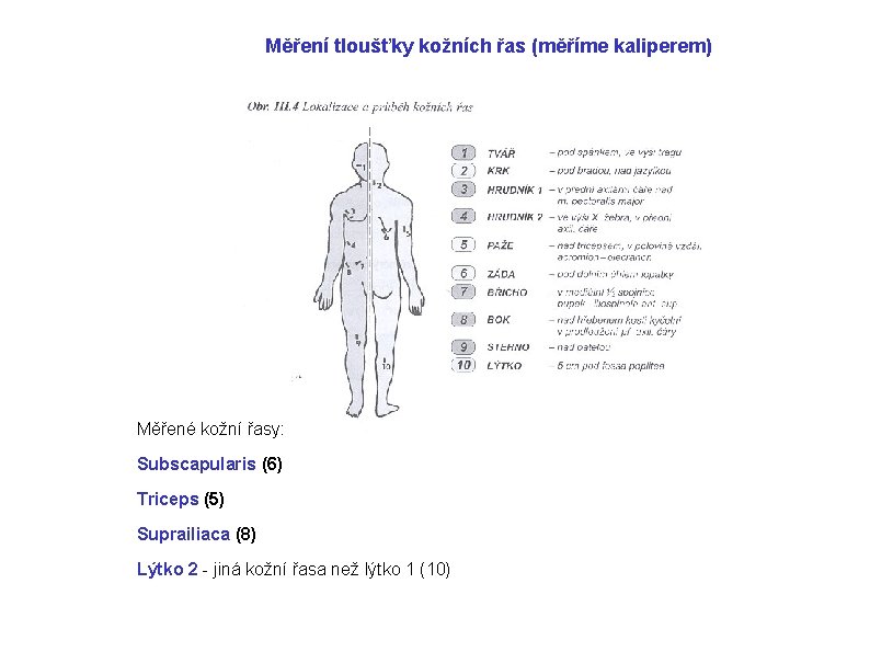 Měření tloušťky kožních řas (měříme kaliperem) Měřené kožní řasy: Subscapularis (6) Triceps (5) Suprailiaca