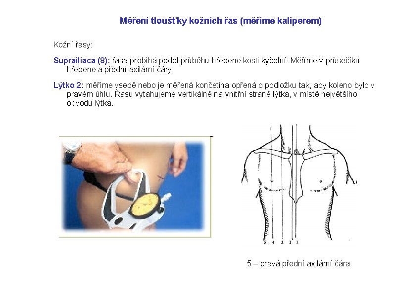 Měření tloušťky kožních řas (měříme kaliperem) Kožní řasy: Suprailiaca (8): řasa probíhá podél průběhu