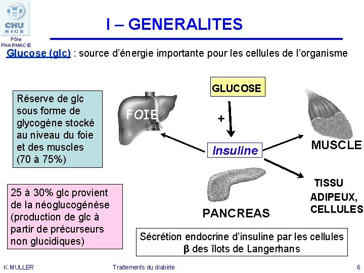 I – GENERALITES Pôle PHARMACIE Glucose (glc) : source d’énergie importante pour les cellules