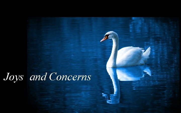 Joys and Concerns 