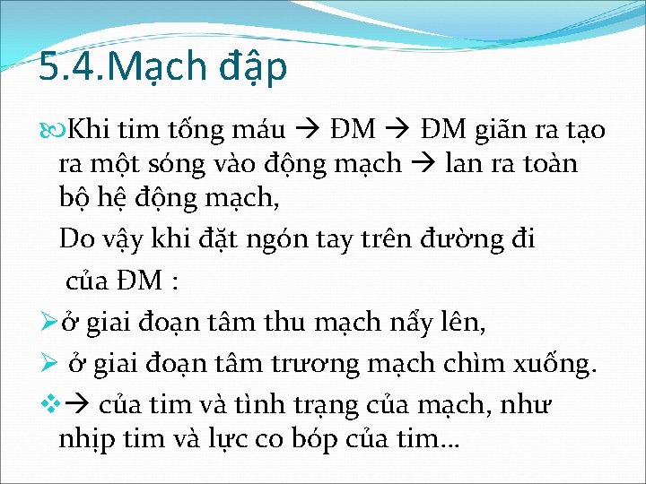5. 4. Mạch đập Khi tim tống máu ĐM giãn ra tạo ra một