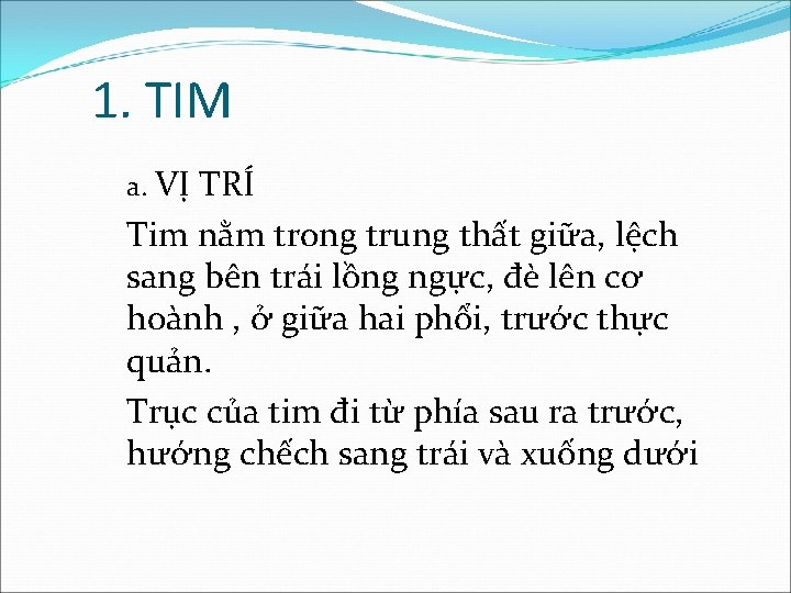 1. TIM a. VỊ TRÍ Tim nằm trong trung thất giữa, lệch sang bên