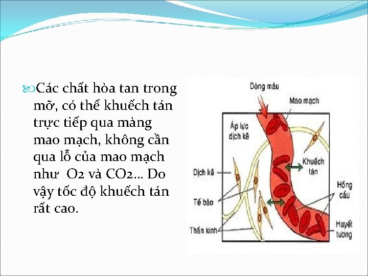  Các chất hòa tan trong mỡ, có thể khuếch tán trực tiếp qua