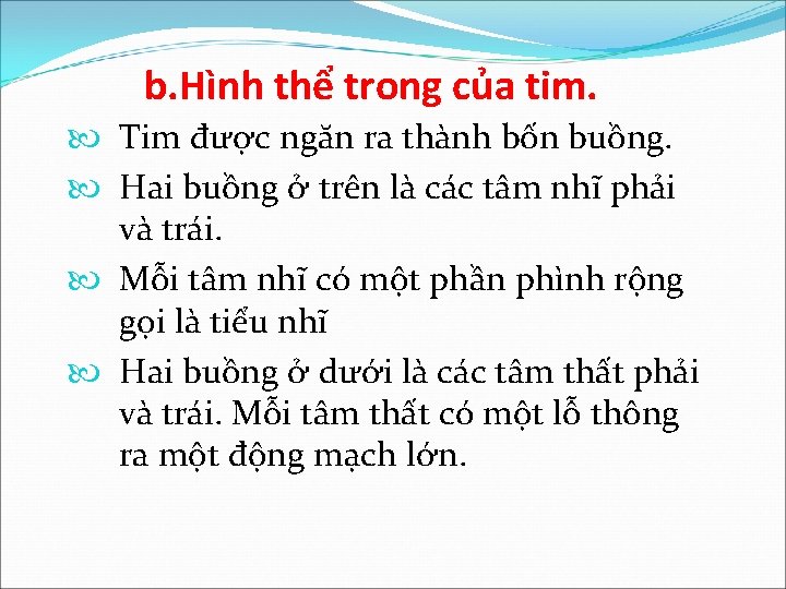b. Hình thể trong của tim. Tim được ngăn ra thành bốn buồng. Hai