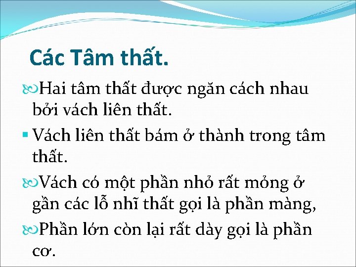 Các Tâm thất. Hai tâm thất được ngăn cách nhau bởi vách liên thất.