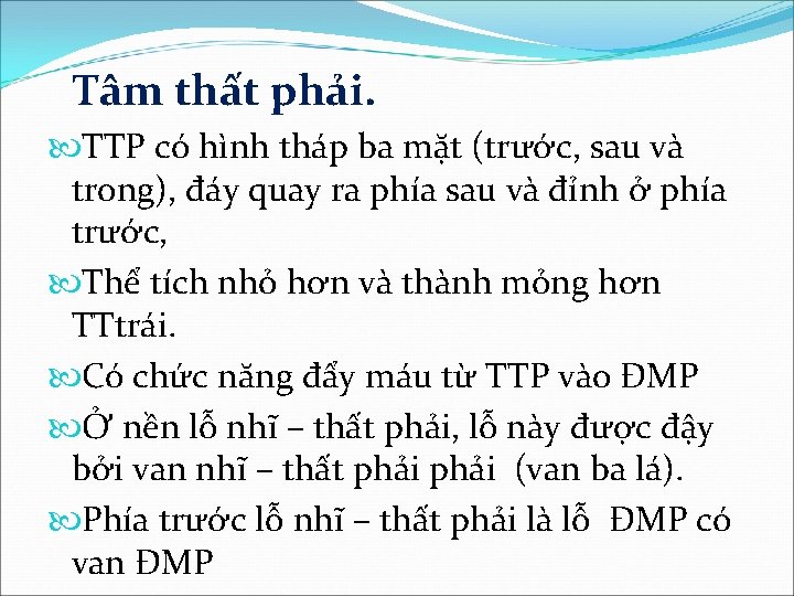 Tâm thất phải. TTP có hình tháp ba mặt (trước, sau và trong), đáy
