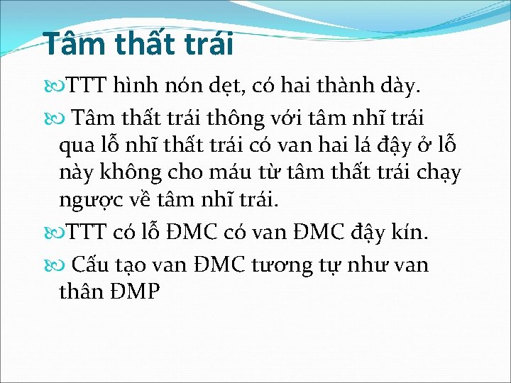 Tâm thất trái TTT hình nón dẹt, có hai thành dày. Tâm thất trái