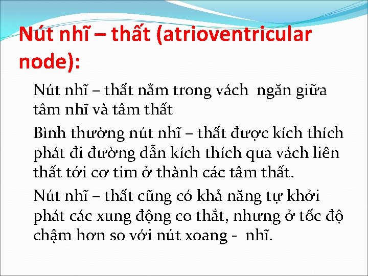 Nút nhĩ – thất (atrioventricular node): Nút nhĩ – thất nằm trong vách ngăn