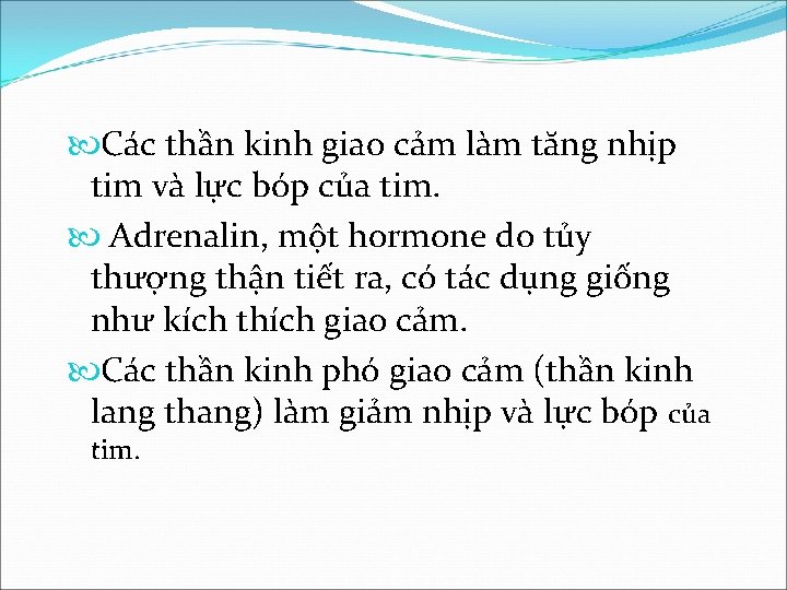  Các thần kinh giao cảm làm tăng nhịp tim và lực bóp của