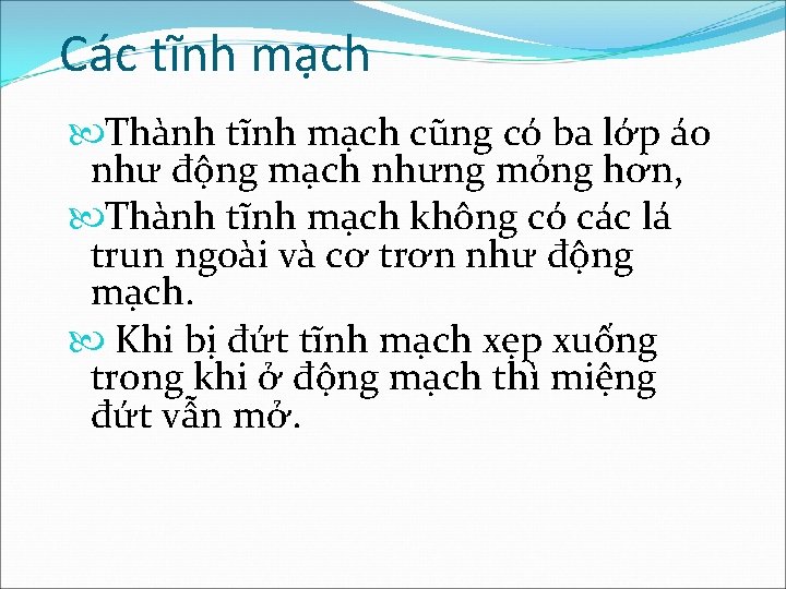 Các tĩnh mạch Thành tĩnh mạch cũng có ba lớp áo như động mạch