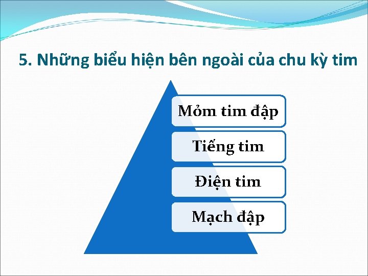 5. Những biểu hiện bên ngoài của chu kỳ tim Mỏm tim đập Tiếng