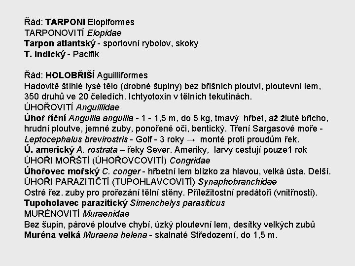 Řád: TARPONI Elopiformes TARPONOVITÍ Elopidae Tarpon atlantský - sportovní rybolov, skoky T. indický -