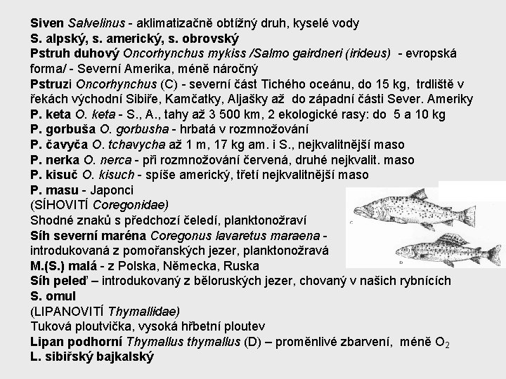 Siven Salvelinus - aklimatizačně obtížný druh, kyselé vody S. alpský, s. americký, s. obrovský