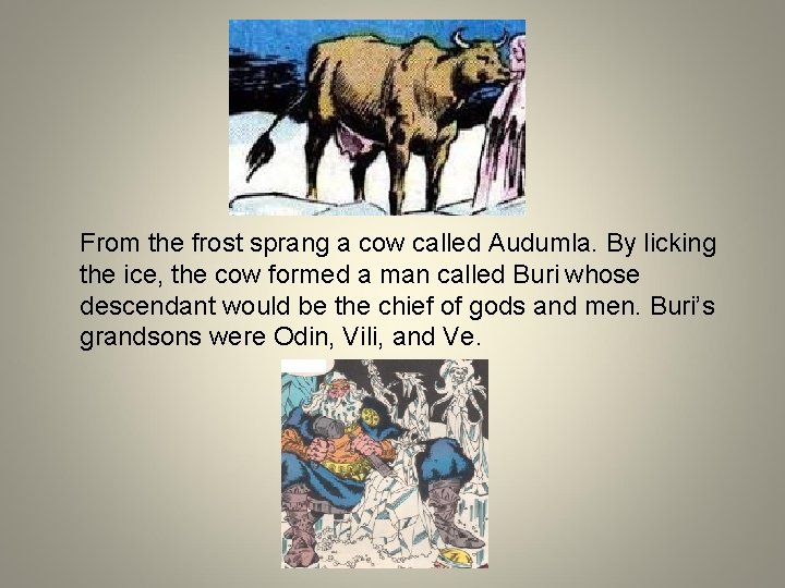 From the frost sprang a cow called Audumla. By licking the ice, the cow From the frost sprang a cow called Audumla. By licking the ice, the cow