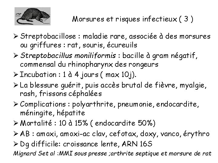 Morsures et risques infectieux ( 3 ) Ø Streptobacillose : maladie rare, associée à