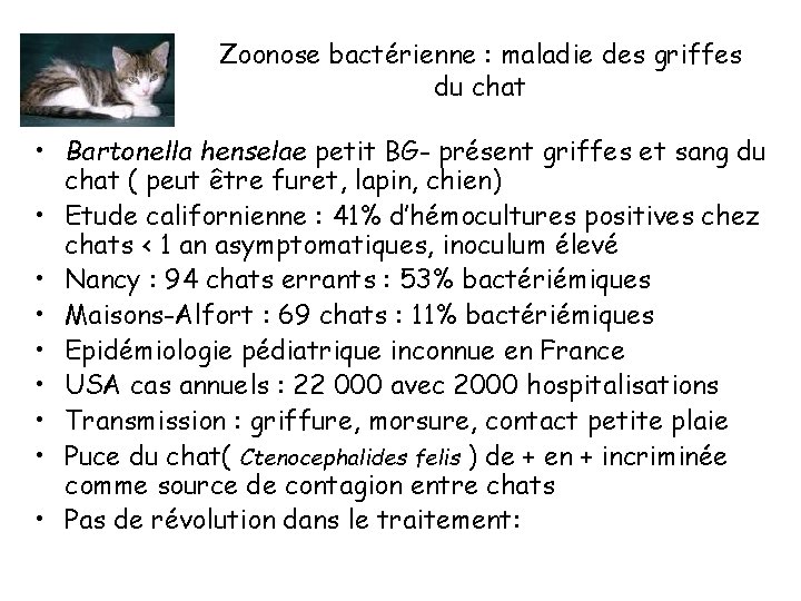 Zoonose bactérienne : maladie des griffes du chat • Bartonella henselae petit BG- présent