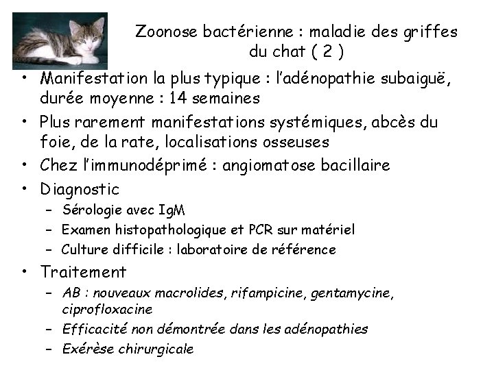 Zoonose bactérienne : maladie des griffes du chat ( 2 ) • Manifestation la