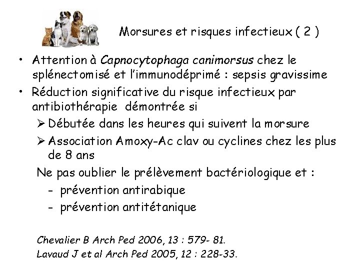 Morsures et risques infectieux ( 2 ) • Attention à Capnocytophaga canimorsus chez le