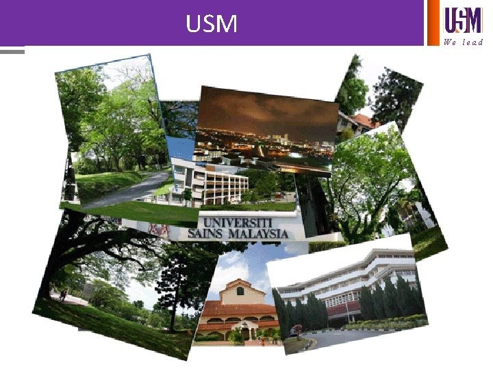 USM We lead 
