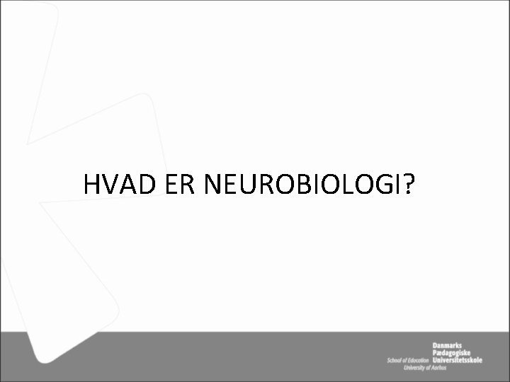 HVAD ER NEUROBIOLOGI? 