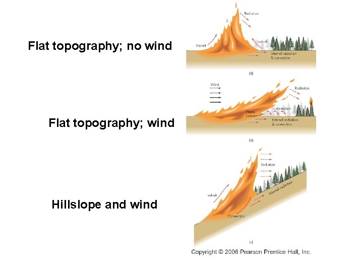Flat topography; no wind Flat topography; wind Hillslope and wind 
