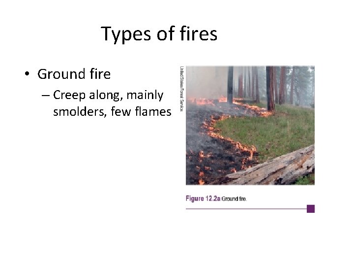Types of fires • Ground fire – Creep along, mainly smolders, few flames 