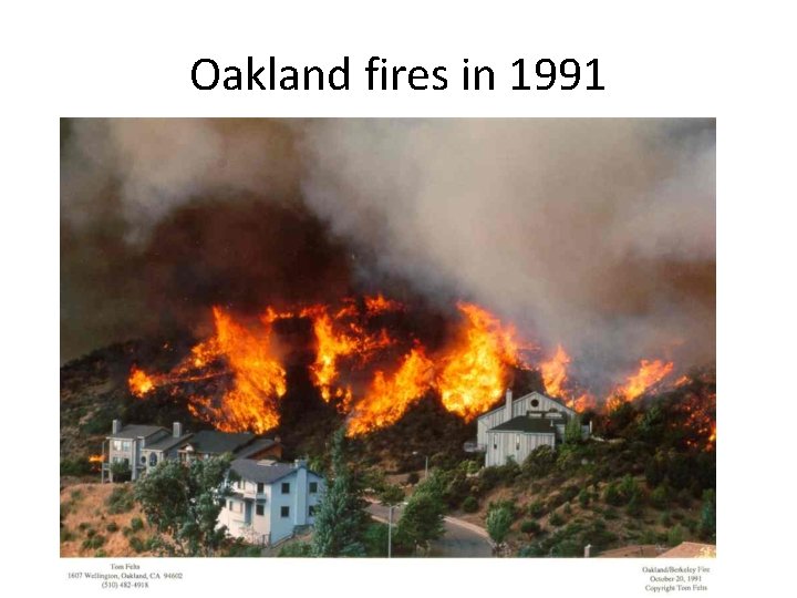 Oakland fires in 1991 