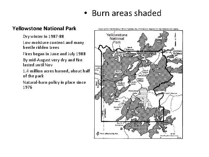  • Burn areas shaded Yellowstone National Park Dry winter in 1987 -88 Low