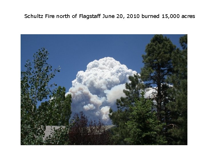 Schultz Fire north of Flagstaff June 20, 2010 burned 15, 000 acres 