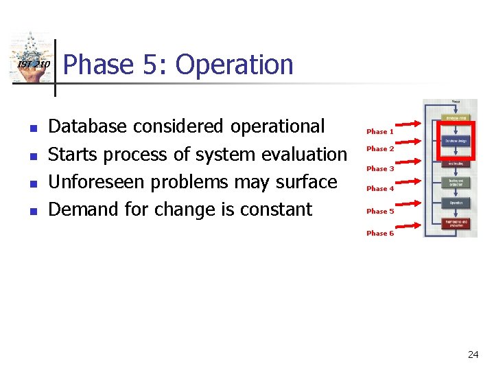 IST 210 n n Phase 5: Operation Database considered operational Starts process of system