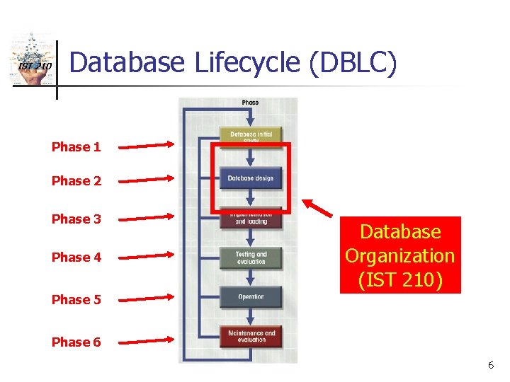 IST 210 Database Lifecycle (DBLC) Phase 1 Phase 2 Phase 3 Phase 4 Database