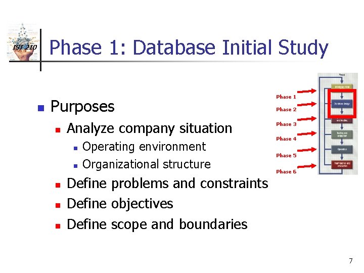 Phase 1: Database Initial Study IST 210 n Purposes n Analyze company situation n