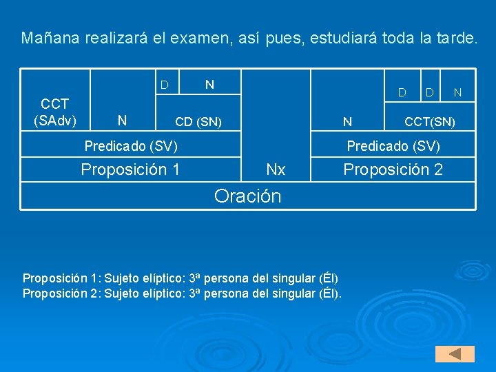 Mañana realizará el examen, así pues, estudiará toda la tarde. N D CCT (SAdv)